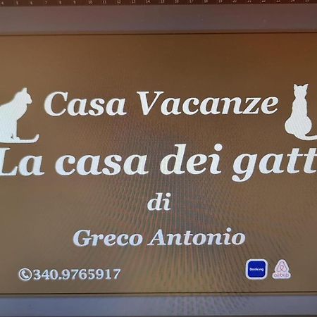 דירות סירקוזה La Casa Dei Gatti מראה חיצוני תמונה