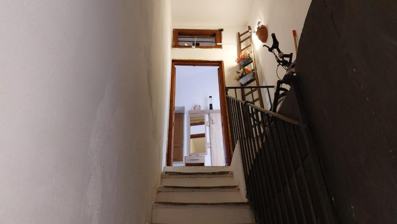 דירות סירקוזה La Casa Dei Gatti מראה חיצוני תמונה