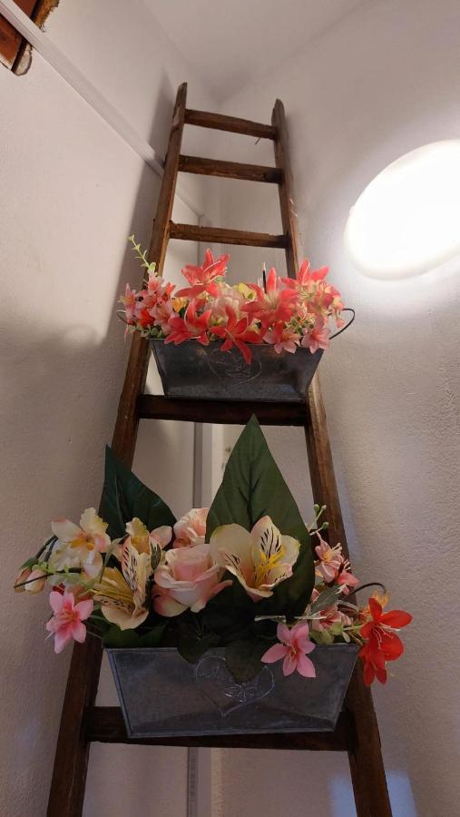 דירות סירקוזה La Casa Dei Gatti מראה חיצוני תמונה